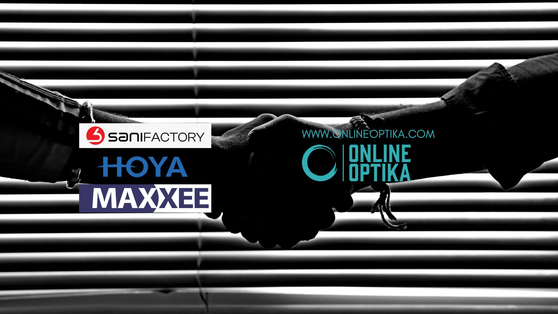 Hoya - SaniFactory - Maxxee - OnlineOptika